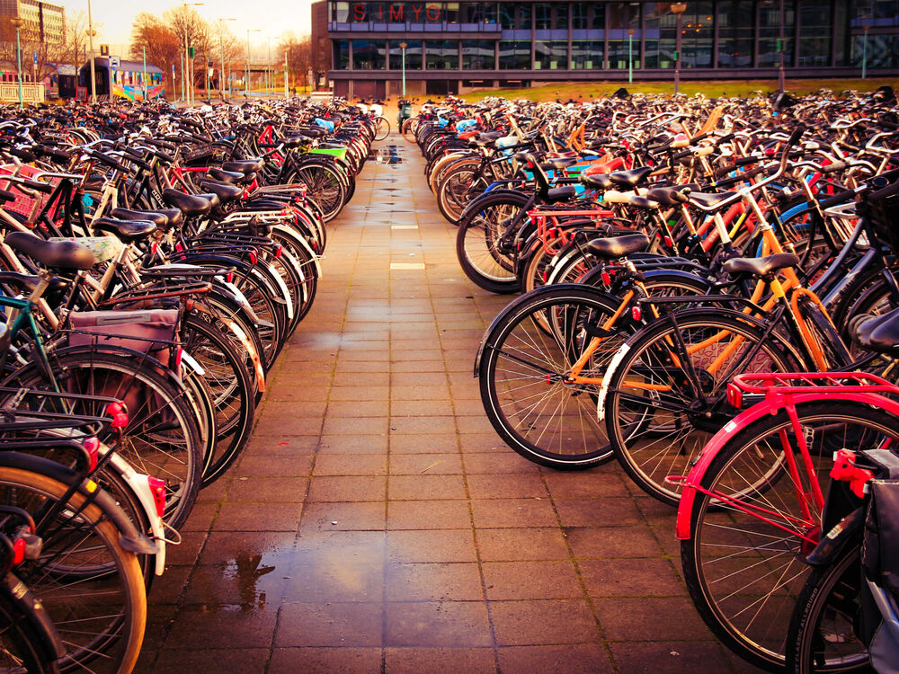 A vast bicycle parking lot with thousands of bikes in rows outside Amsterdam's station